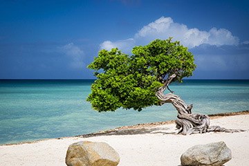 阿魯巴雷納－比特里克斯機場三字代碼(AUA),雷納－比特里克斯機場(Reina Beatrix Airport)四字碼,阿魯巴機場三字碼查詢