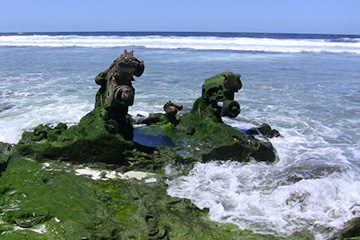 卡胡盧伊港口查詢_kahului港口代碼_美屬太平洋群島卡胡盧伊港口代碼