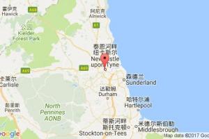 紐卡斯?fàn)柛劭诓樵僟newcastle港口代碼_英國紐卡斯?fàn)柛劭诖a