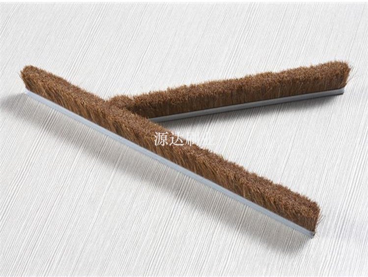豬鬃毛刷條