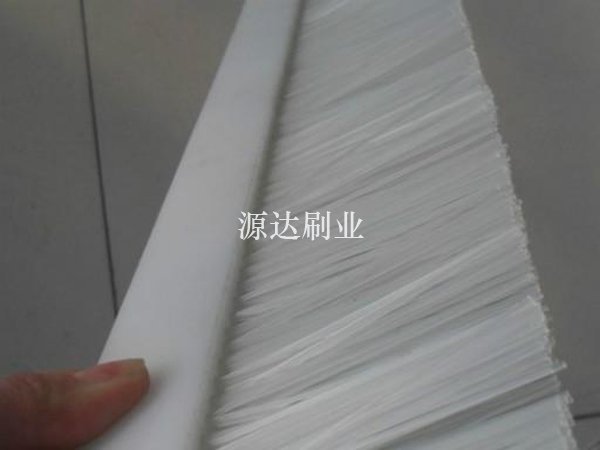 PP條刷